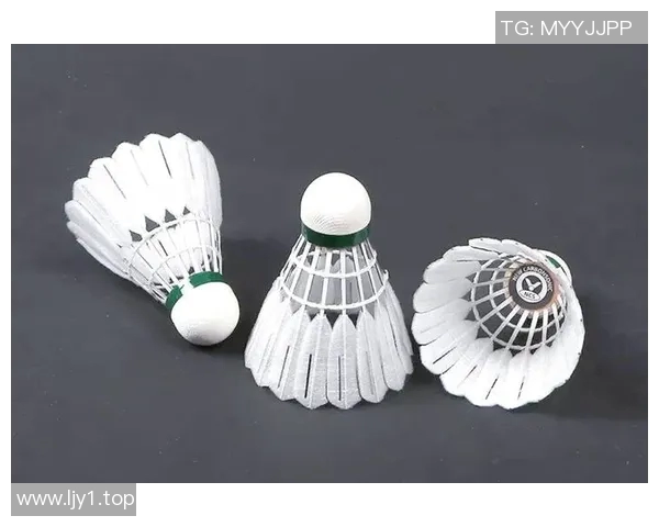 羽毛球训练设备创新及使用效果